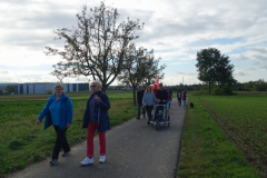 Herbstwanderung-2020_5web