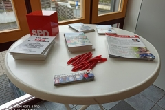Heringsessen_2020_11