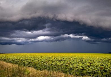 Auf Folgen des Klimawandels vorbereiten